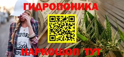 прущие грибы Славгород