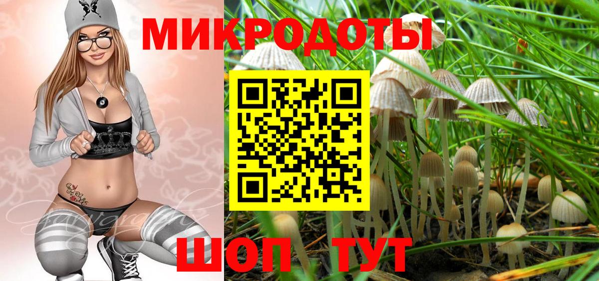 Орск  Псилоцибиновые грибы Psilocybe  Вход с VPN 